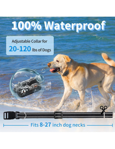 Collar Antibark y Entrenamiento PaiPaitek 2 en 1 - 1000m