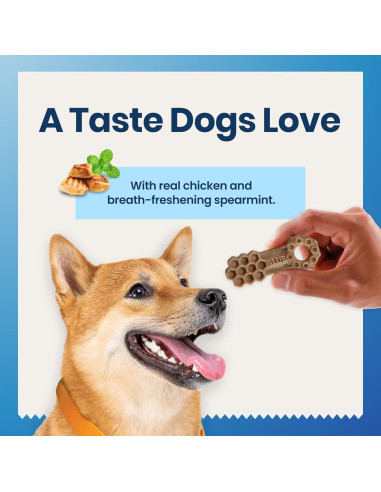 Golosinas Dentales Naturales Blue Buffalo 320g Pollo y Hierbabuena