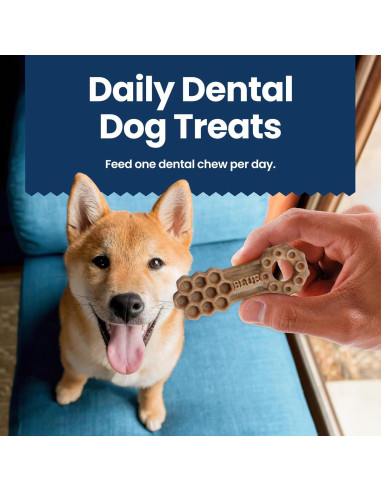 Golosinas Dentales Naturales Blue Buffalo 320g Pollo y Hierbabuena