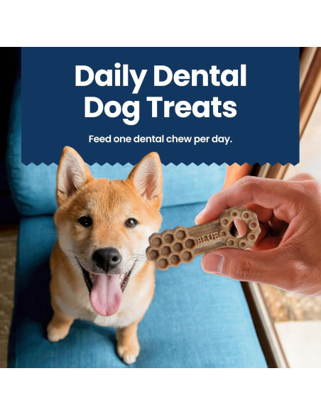 Golosinas Dentales Naturales Blue Buffalo 320g Pollo y Hierbabuena