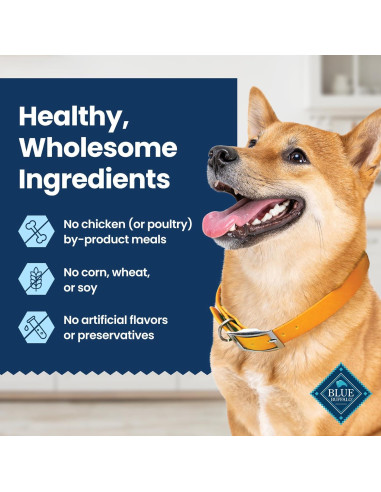 Golosinas Dentales Naturales Blue Buffalo 320g Pollo y Hierbabuena