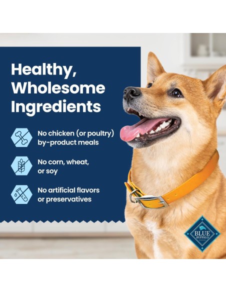 Golosinas Dentales Naturales Blue Buffalo 320g Pollo y Hierbabuena