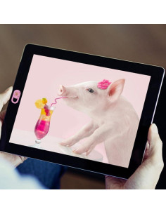 3 Piezas Cubierta Deslizante Webcam SEWACC Rosa para Laptop 2