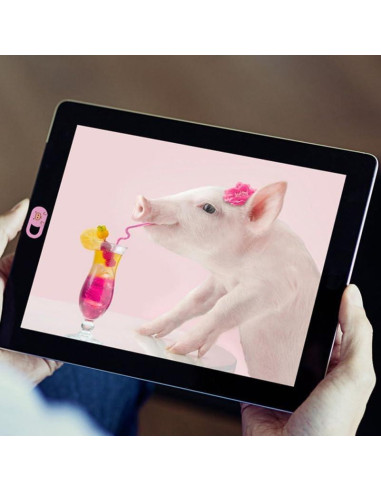 3 Piezas Cubierta Deslizante Webcam SEWACC Rosa para Laptop