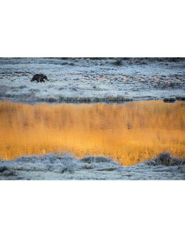 Lente Zoom Super Telefoto Tamron A011S 150-600mm para Sony