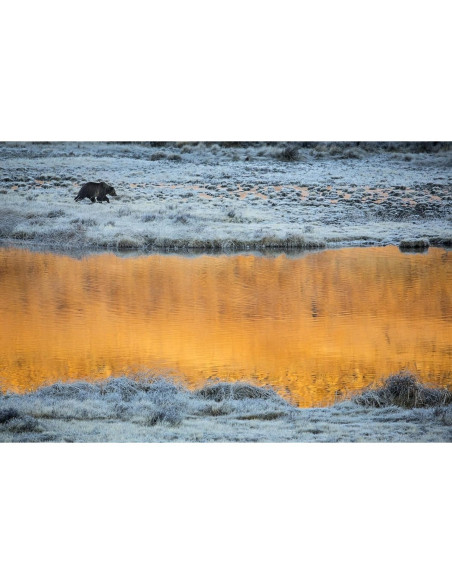 Lente Zoom Super Telefoto Tamron A011S 150-600mm para Sony