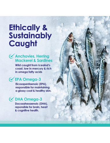 Aceite de Pescado Líquido NuLife 32 oz Omega 3 para Perros