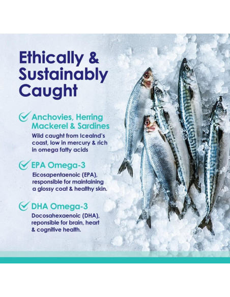 Aceite de Pescado Líquido NuLife 32 oz Omega 3 para Perros