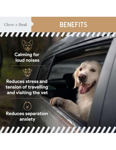 Masticables Calmantes para Perros Chew + Heal 60 Unidades Mantequilla de Maní