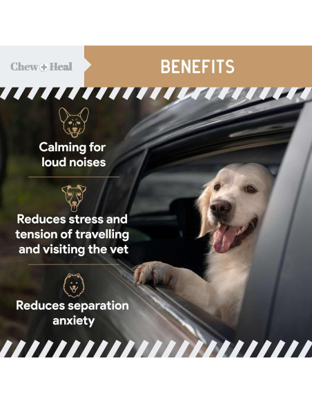 Masticables Calmantes para Perros Chew + Heal 60 Unidades Mantequilla de Maní