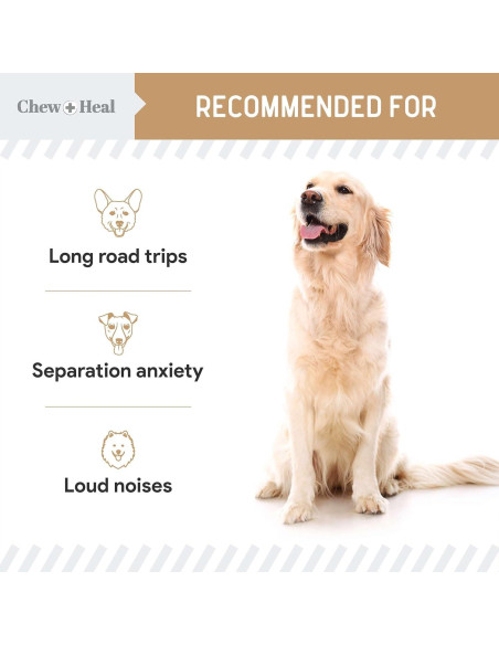 Masticables Calmantes para Perros Chew + Heal 60 Unidades Mantequilla de Maní