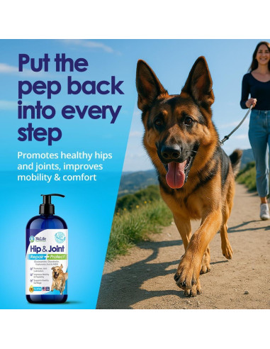 Suplemento Líquido de Glucosamina para Perros NuLife 453g