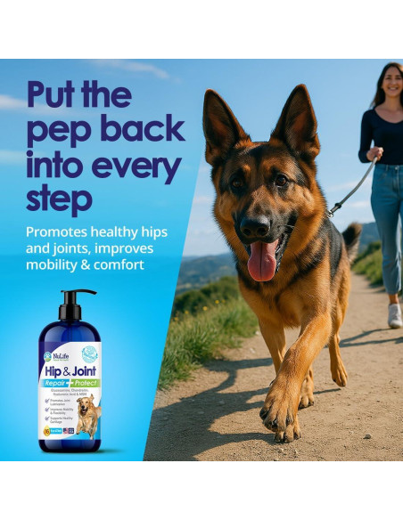Suplemento Líquido de Glucosamina para Perros NuLife 453g