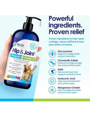 Suplemento Líquido de Glucosamina para Perros NuLife 453g