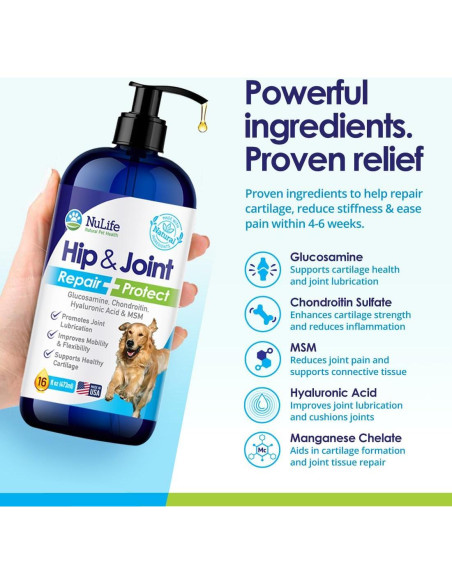 Suplemento Líquido de Glucosamina para Perros NuLife 453g