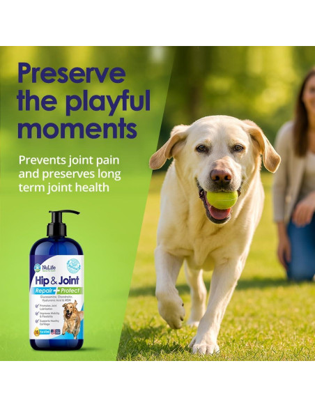Suplemento Líquido de Glucosamina para Perros NuLife 453g