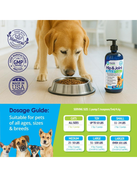Suplemento Líquido de Glucosamina para Perros NuLife 453g