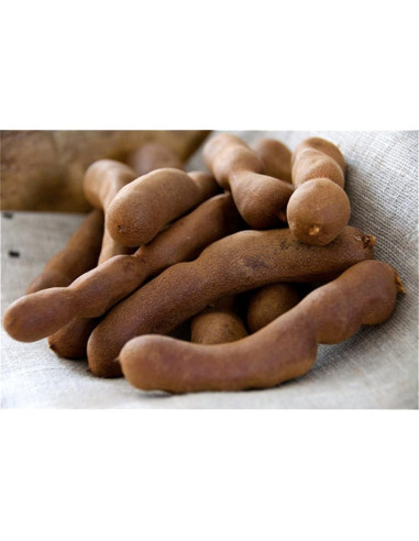 Vainas de Tamarindo Enteras 100% Natural 450g - Amazing Chiles
