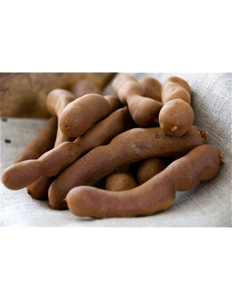 Vainas de Tamarindo Enteras 100% Natural 450g - Amazing Chiles