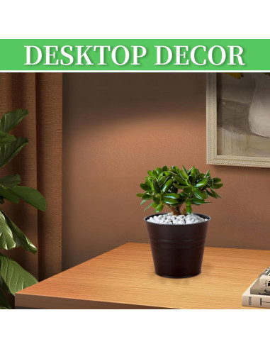 Macetas Colgantes GREANER 10 Piezas Metal Negro 12.7 cm