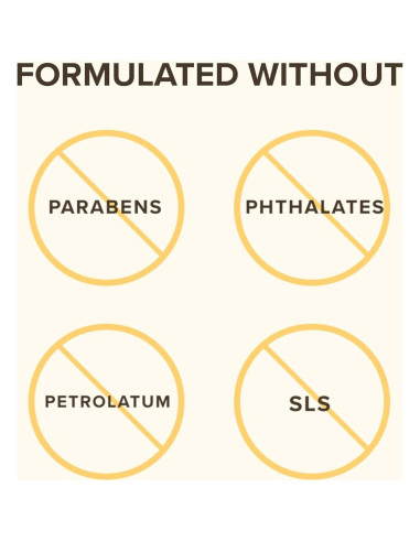 Bálsamo Labial Burt's Bees Cranberry Spritz 4.25g Hidratante