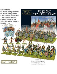 Ejército Inicial Vikingo Warlord Games - 133 Miniaturas 28mm 2