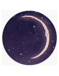 Calcomanía de Parachoques Vision Graphics 12.7 cm Espacial