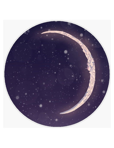 Calcomanía de Parachoques Vision Graphics 12.7 cm Espacial