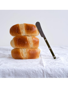 Juego de 2 cuchillos para untar Sabre Paris Bistrot Verde 2