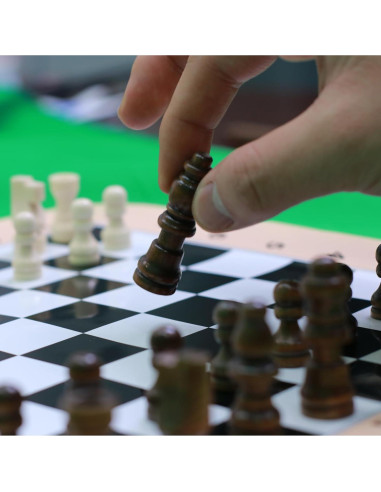 Juego de Ajedrez de Viaje Plegable Hzsshb - Mini Ecológico