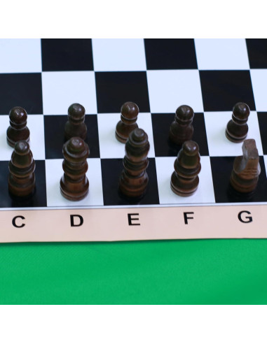 Juego de Ajedrez de Viaje Plegable Hzsshb - Mini Ecológico