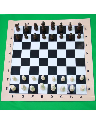 Juego de Ajedrez de Viaje Plegable Hzsshb - Mini Ecológico