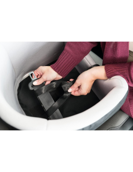 Asiento Elevador para Mascotas TRIXIE - Coche para Perros y Gatos