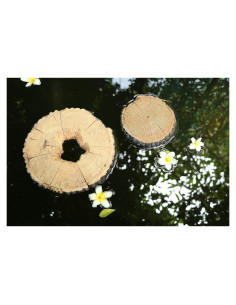 Isla Flotante para Tortugas Aqua KT 22.5 cm Antideslizante