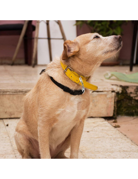 Clip de Seguridad para Collar de Perro JIPIMON - Acero Inoxidable, 2 Piezas