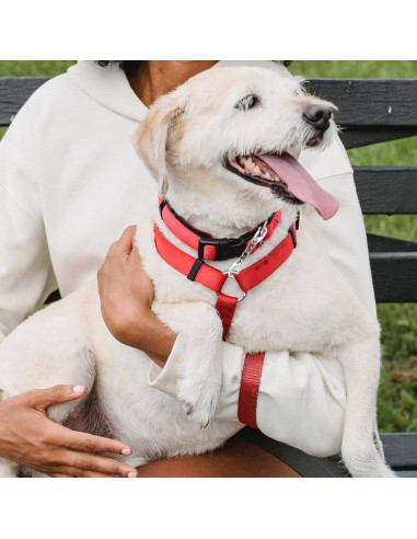 Clip de Seguridad para Collar de Perro JIPIMON - Acero Inoxidable, 2 Piezas