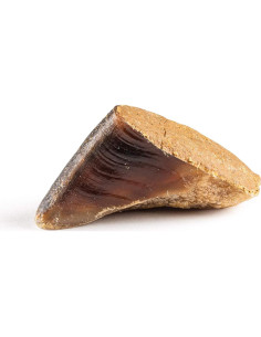 Pezuñas de Vaca Rellenas Jack&Pup 181g Sabor Tocino y Queso 2