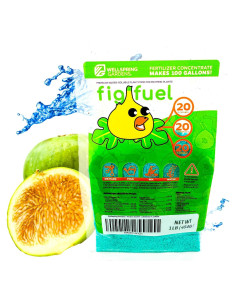 Fertilizante Fig Fuel Wellspring Gardens 20-20-20 0.45 kg