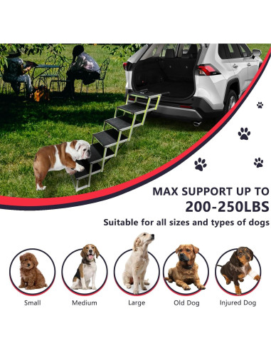 Rampas PLEGABLES para Perros PENSUN 6 Pasos Antideslizante