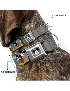 Collar de Perro Buckle-Down Mickey Mouse Gris 3.81 cm Ancho 2