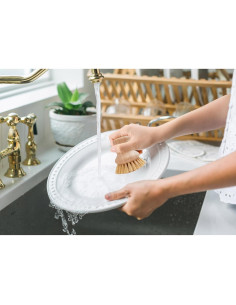 Cepillo de Fregado HIC Kitchen, Cerda Natural, Juego de 2 2