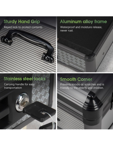 Caja de Dinero Glosen Mediana con Cerradura y Bandeja Extraíble