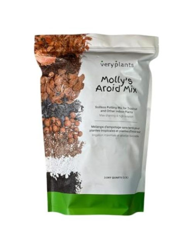 Mezcla Aroid de Molly 3/4 Secos - Maceta Premium para Plantas