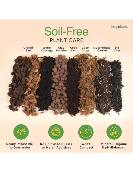 Mezcla Aroid de Molly 3/4 Secos - Maceta Premium para Plantas