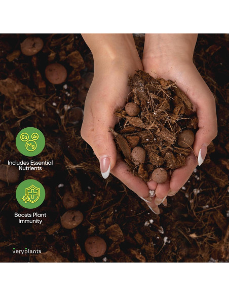 Mezcla Aroid de Molly 3/4 Secos - Maceta Premium para Plantas