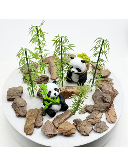 Kit de corteza de árbol en miniatura Woohome 100g 12-25mm