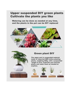 Maceta Flotante Magnética LMingKun - Grano de Madera Oscura 2