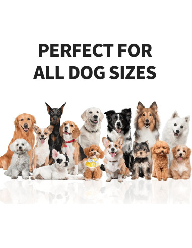 Rastreador GPS para Perros VITALGLOW X05, Sin Suscripción, Inalámbrico