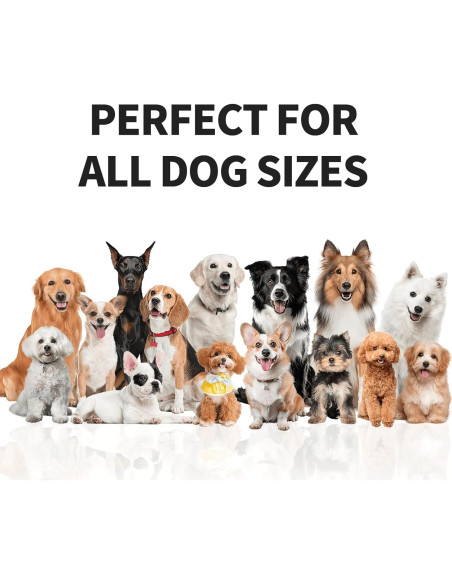 Rastreador GPS para Perros VITALGLOW X05, Sin Suscripción, Inalámbrico