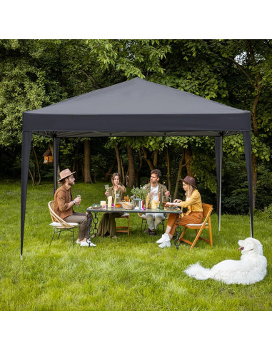 Carpa Plegable 3x3m Gris Oscuro con 4 Paredes Laterales